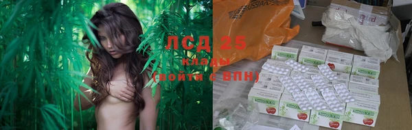 прущие грибы Алексеевка