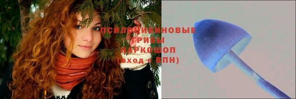 соль ск Абдулино