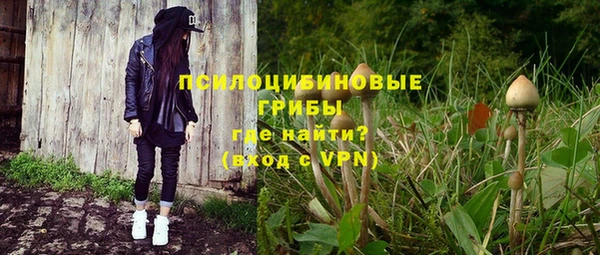 прущие грибы Алексеевка